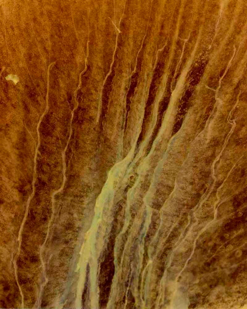 Illustration for article titled This is not a Hubble photo of a supernova—it's food